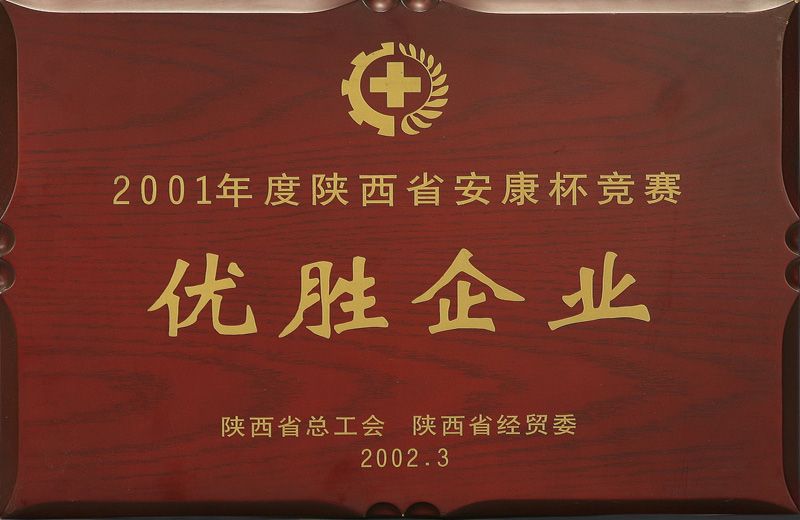 2001年省安康杯优胜企业