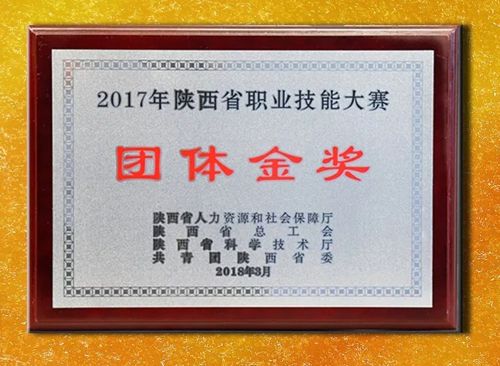 我公司荣获“2017年陕西省职业技能大赛团体金奖”