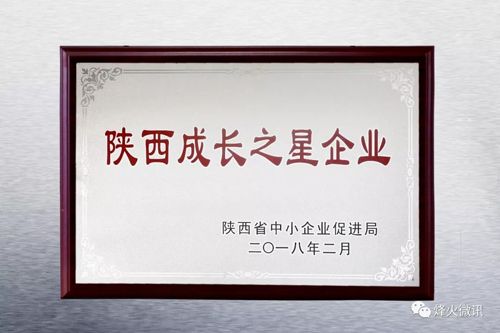 诺信科技公司荣获“陕西成长之星企业”